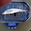 First gudgeon of the New Year, caught by HiVe (Vernon Hills) at Berkhamsted Bullbeggars on the Grand Union Canal on 1st January 2023.