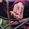 Shirley Titterton became GUGGS member TiSh when she caught this gudgeon at Rode Heath on the Trent & Mersey Canal in March 2023.